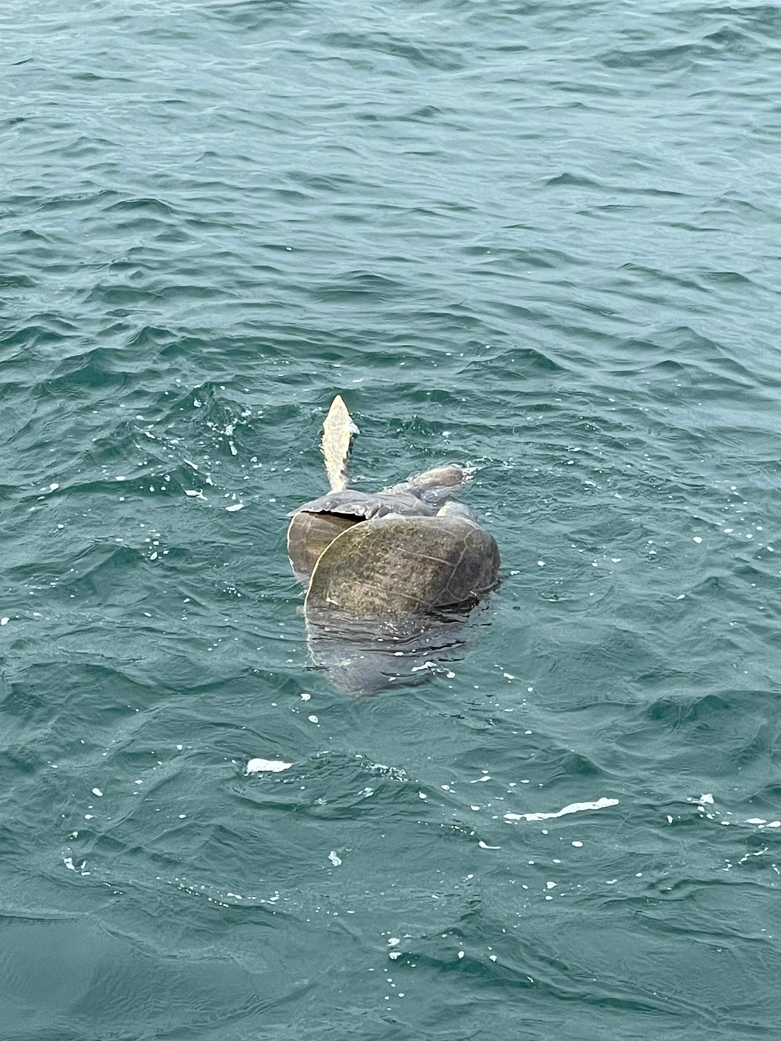 Fish & Fun boat at sea
